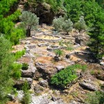 samaria1