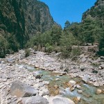 samaria3